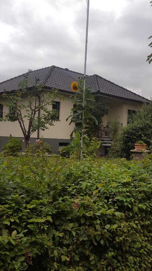 Ferienwohnung "Am Fechtertor- Eingang Zum Schlosspark" Putbus Eksteriør bilde
