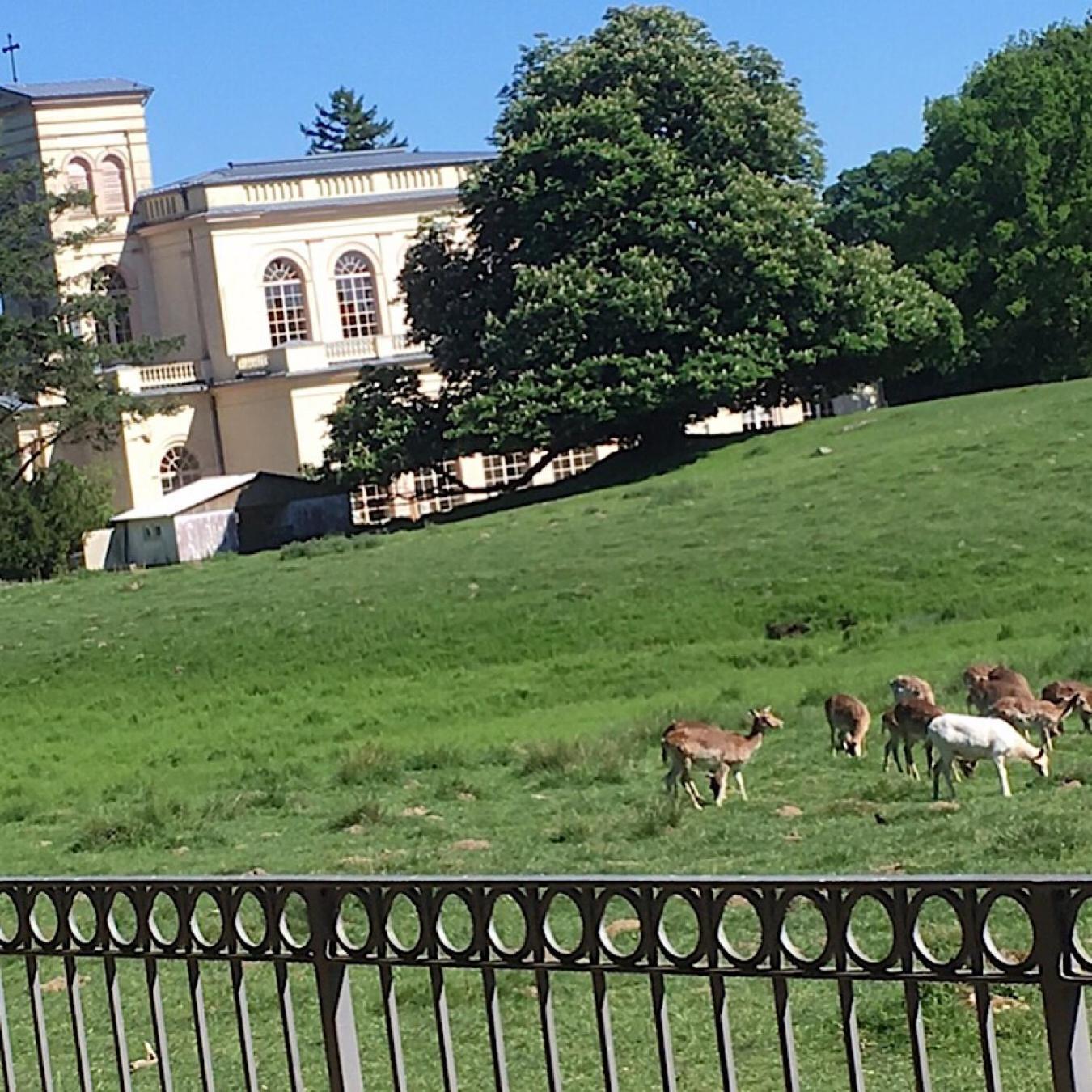 Ferienwohnung "Am Fechtertor- Eingang Zum Schlosspark" Putbus Eksteriør bilde